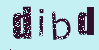 Captcha Image: you will need to recognize the text in it.